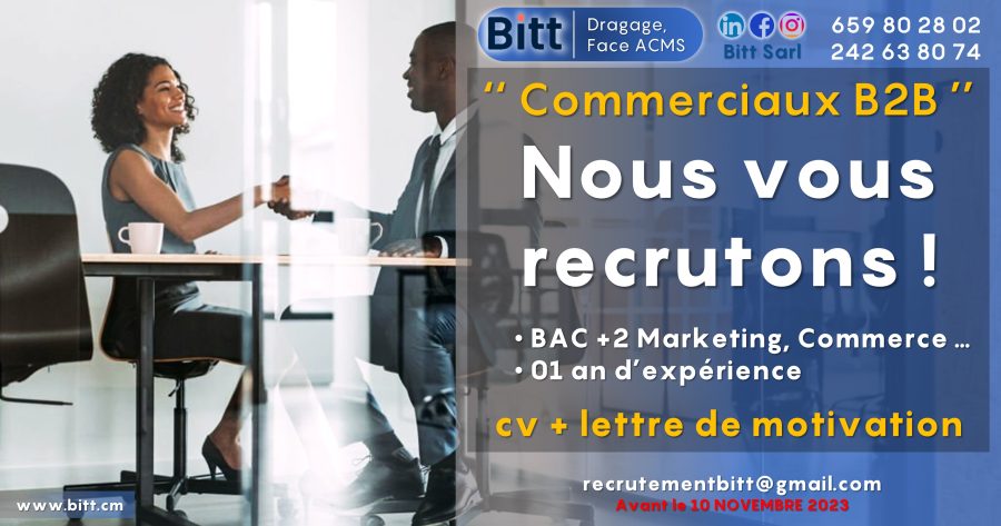 OFFRE D'EMPLOI : Commercial - BITT